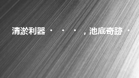 清淤利器，池底奇跡！